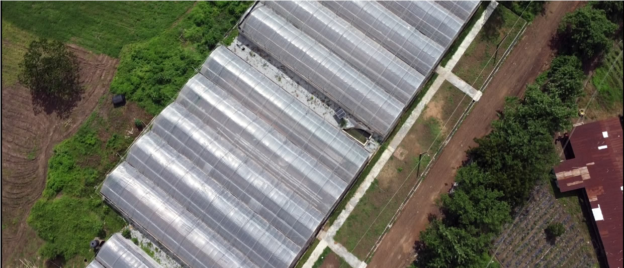 Ariel_Greenhouse